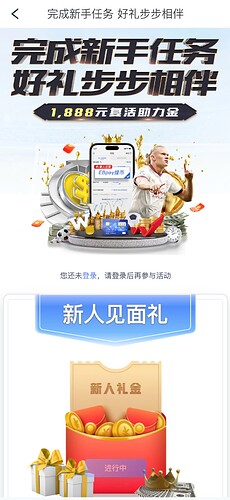www.duobao440.com_31337_(iPhone 14 Pro Max)