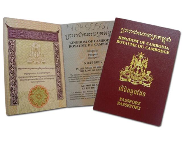 telegram-cloud-photo-size-1-5001654506604923787-y