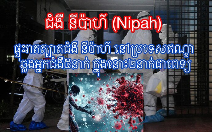 telegram-cloud-photo-size-5-6318742013590834754-y